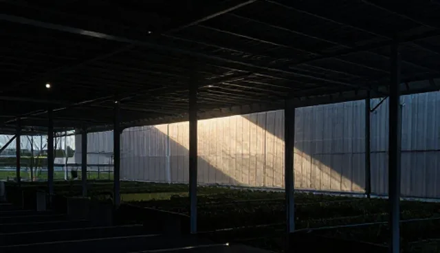 技术外包项目中的选型建议与实施要点